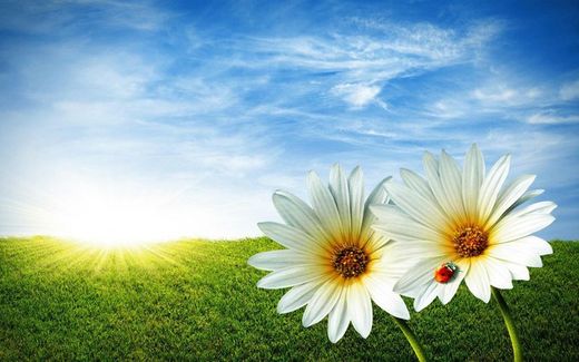 Lente is begonnen!