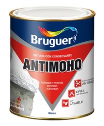 Anti-mold Paint