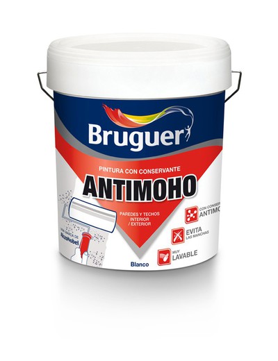 Anti-mold Paint