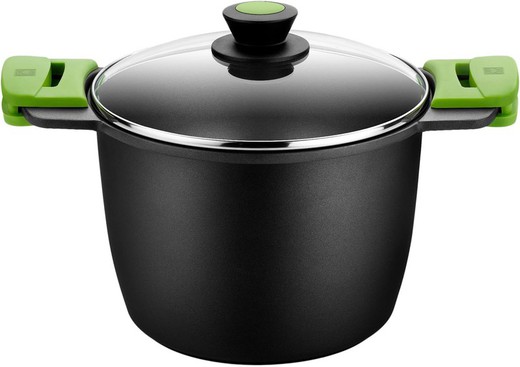 Foodie Induction Pot