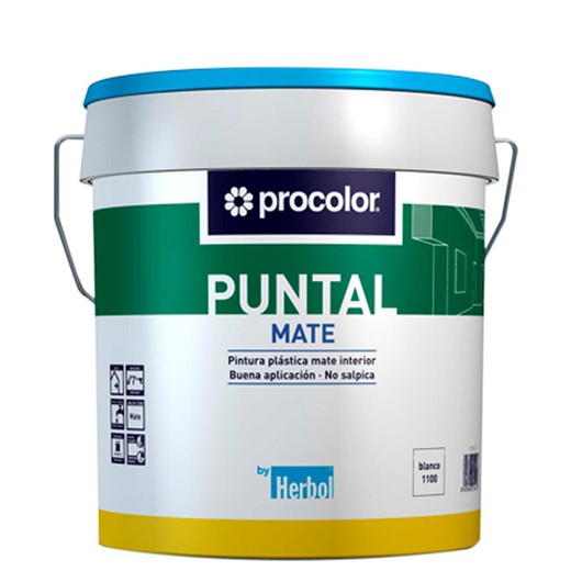 Matt Plastic Paint Puntal 15 L