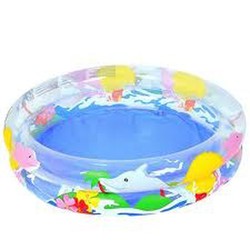 dolphin paddling pool