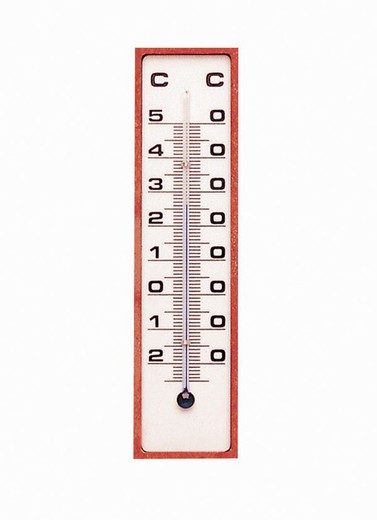 Plastic Thermometer 150X40 MM