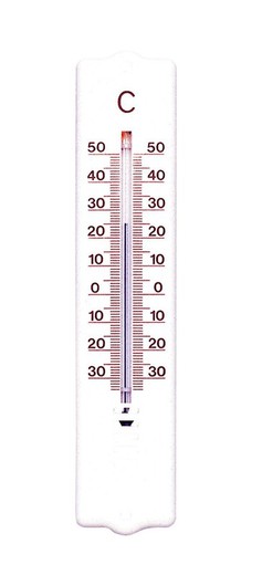 Thermomètre en plastique 205X42 MM