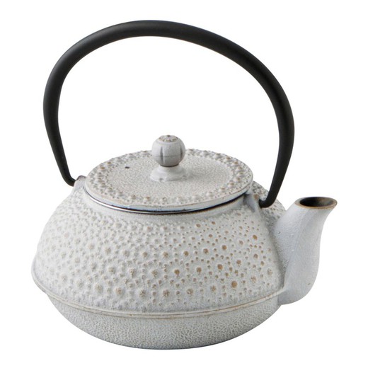 Iron Teapot C / F Inox Aram 500 ML