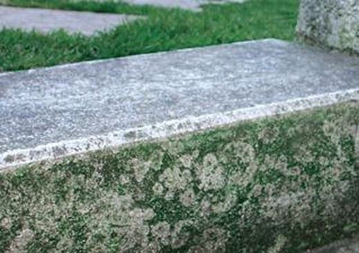 Exteriores y Jardín