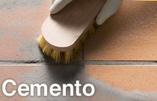 Limpieza en Profundidad