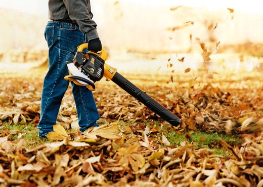 Sopladores/Aspiradores