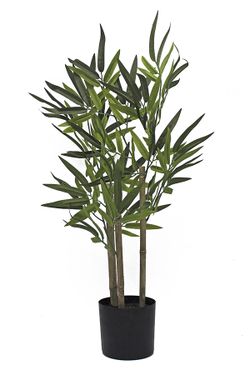 Arbol bambu tronco natural de 65 cms