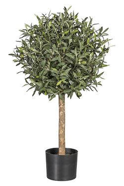 Arbol olivo decorativo tronco natural de 100 cms
