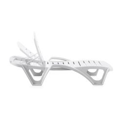 Wit hars ligbed van SP Garden