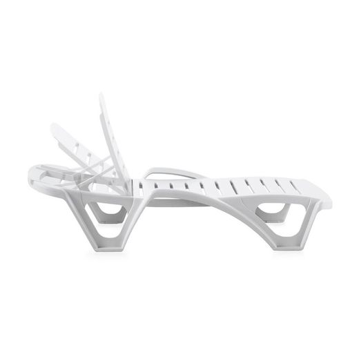 Wit hars ligbed van SP Garden