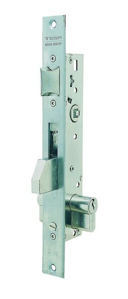 Insteekslot Met Inox 20 MM
