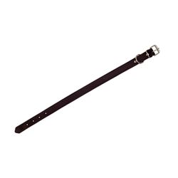 Collier de chien en cuir noir