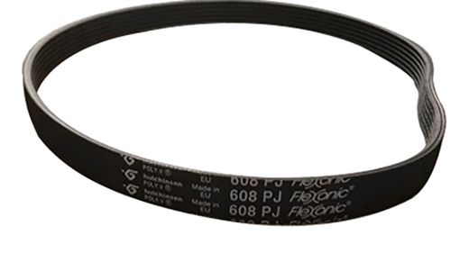 Ceinture Pj608 Mael P / Hormig Gn 6 DENTS