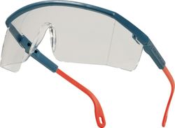 Incol Regulab Protection Goggles