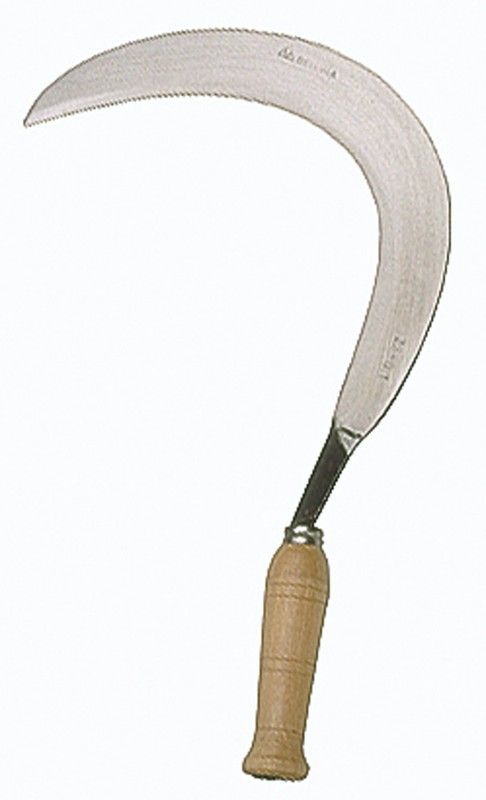 Sikkel