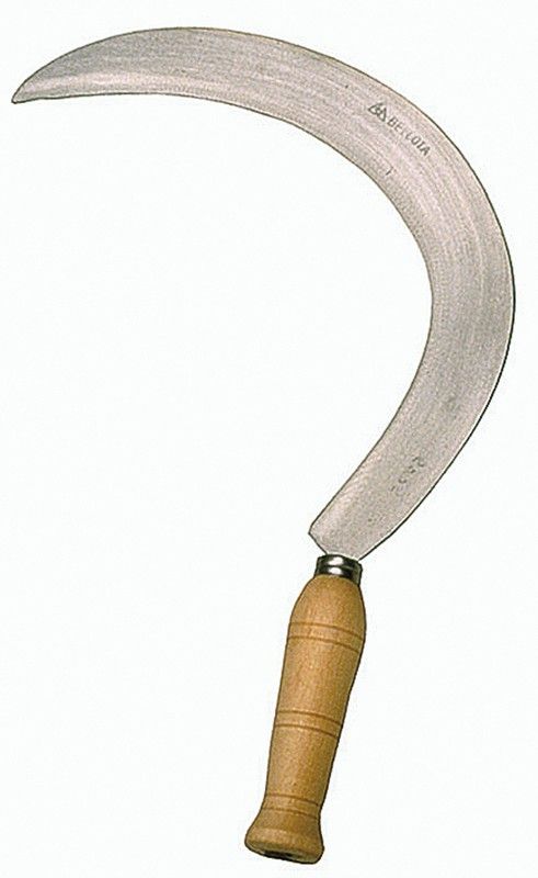 Sichel