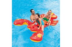 Aquatische opblaasbare kreeft 4 handvatten intex 57528