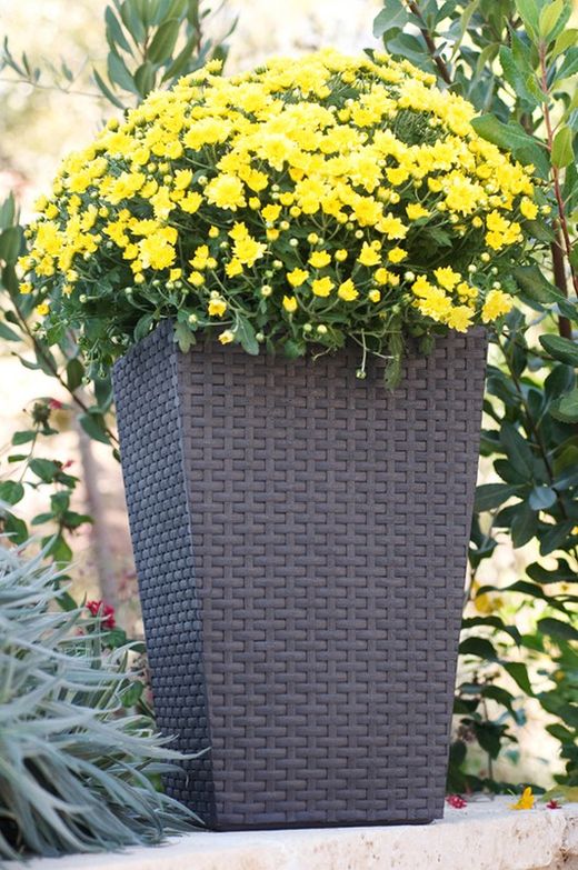 Plantador Ratan 24 L 29X29X44