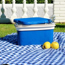 Blauwe Stijve Koeler 16 L