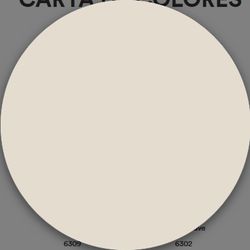 1 Schicht matte Kunststofffarbe Titan