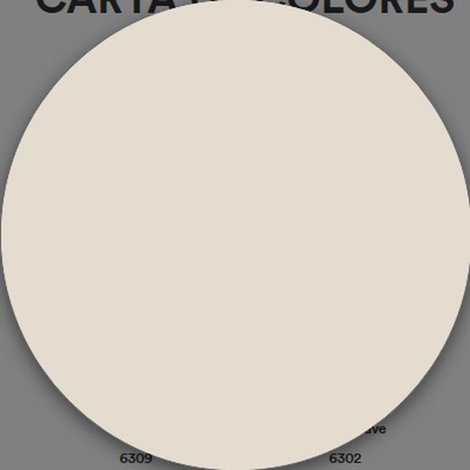 1 Schicht matte Kunststofffarbe Titan