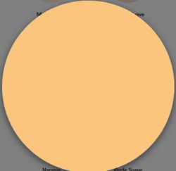 1 Schicht matte Kunststofffarbe Titan