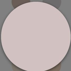 1 Schicht matte Kunststofffarbe Titan