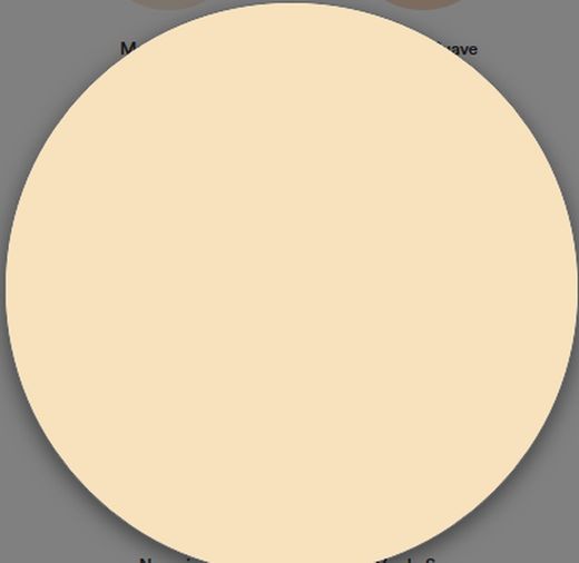 1 Schicht matte Kunststofffarbe Titan