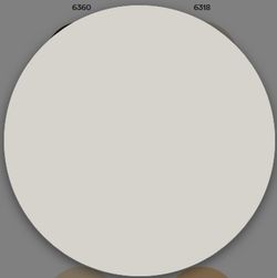 1 Schicht matte Kunststofffarbe Titan