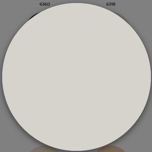 1 Schicht matte Kunststofffarbe Titan