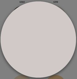 1 Schicht matte Kunststofffarbe Titan