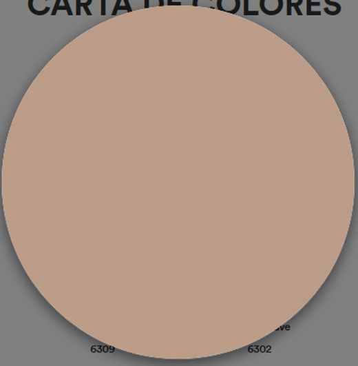 1 Schicht matte Kunststofffarbe Titan