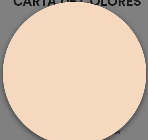 1 Schicht matte Kunststofffarbe Titan