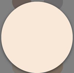 1 Schicht matte Kunststofffarbe Titan