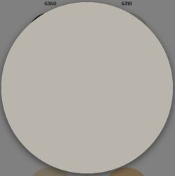 1 Schicht matte Kunststofffarbe Titan