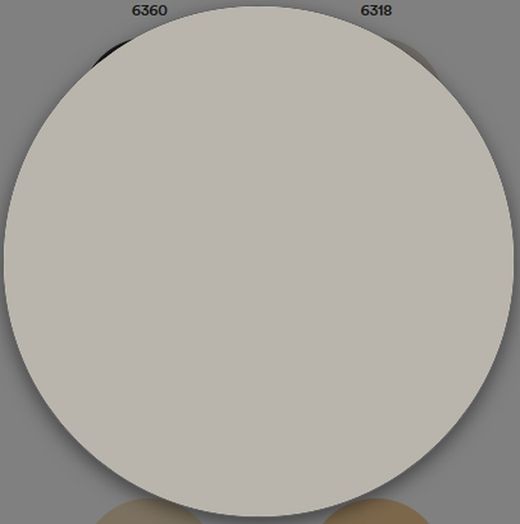 1 Schicht matte Kunststofffarbe Titan