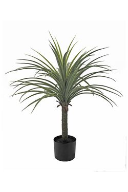 Planta Yuca decorativa 55x70 cms