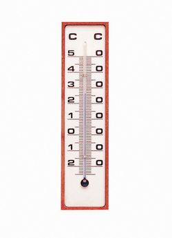 Termometro Plastico 150X40 MM