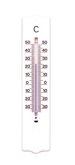 Termometro Plastico 205X42 MM